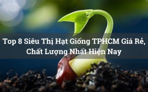 siêu thị hạt giống tphcm