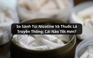 so sánh túi nicotine và thuốc lá truyền thống